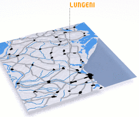3d view of Lungeni