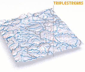 3d view of Triple Streams