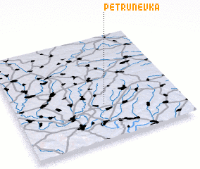3d view of Petrunevka