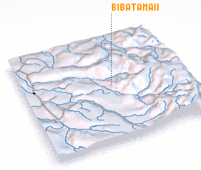 3d view of Bibatama II