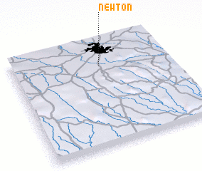 3d view of Newton