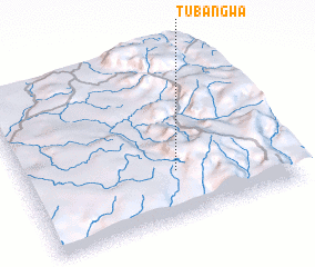 3d view of Tubangwa