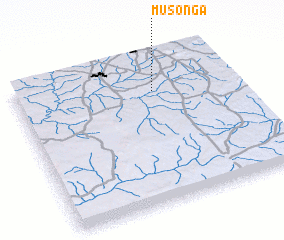 3d view of Musonga