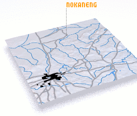 3d view of Nokaneng