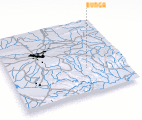 3d view of Bunga