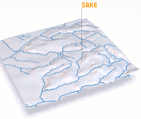 3d view of Sake