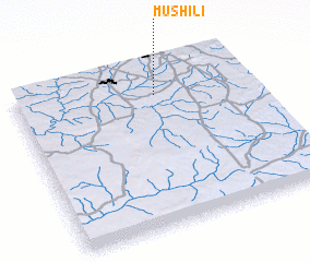 3d view of Mushili