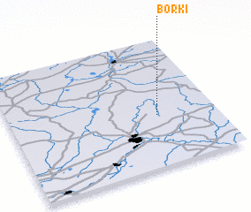 3d view of Borki