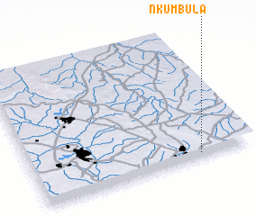 3d view of Nkumbula