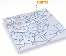 3d view of Tinmyne