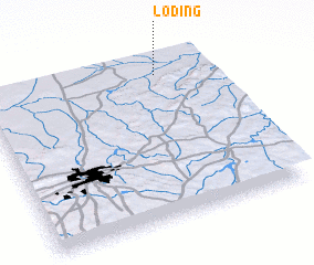3d view of Loding