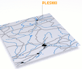 3d view of Pleshki