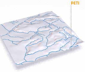 3d view of Peti