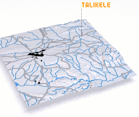 3d view of Talikele