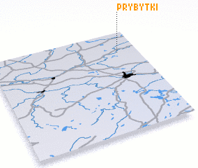 3d view of Prybytki