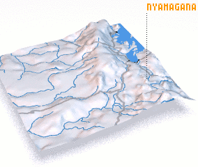 3d view of Nyamagana