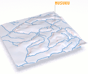 3d view of Musuku