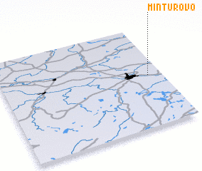 3d view of Minturovo