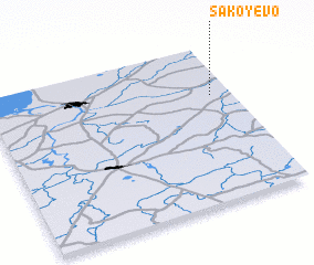 3d view of Sakoyevo