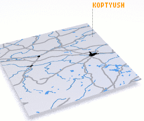 3d view of Koptyush