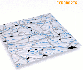 3d view of Ceroborta