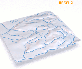 3d view of Mesela