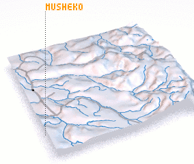 3d view of Musheko