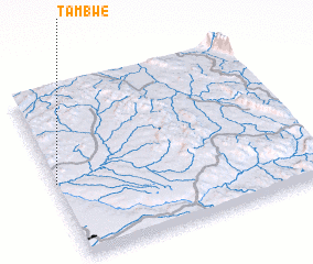 3d view of Tambwe