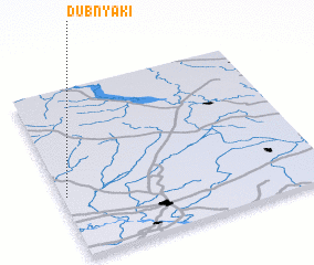 3d view of Dubnyaki