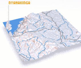 3d view of Nyamakinga