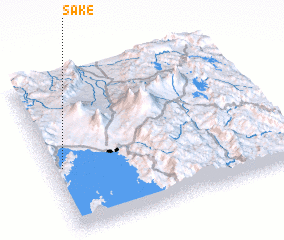 3d view of Sake