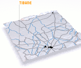 3d view of Tibane