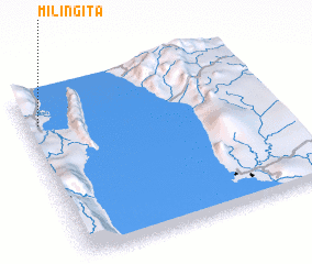 3d view of Milingita