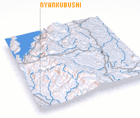 3d view of Nyankubushi