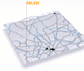 3d view of Naledi