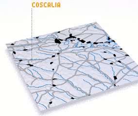 3d view of Coşcalia