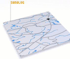 3d view of Saralog