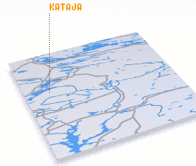 3d view of Kataja