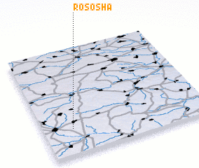 3d view of Rososha