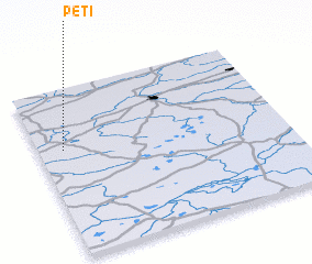 3d view of Peti
