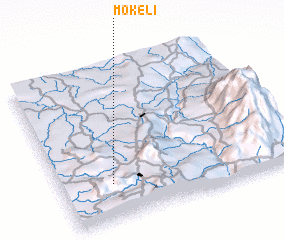 3d view of Mokeli