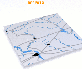 3d view of Nesyata