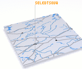 3d view of Seledtsova