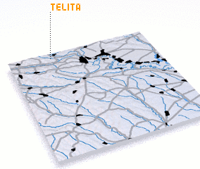 3d view of Teliţa