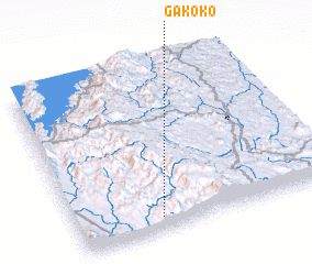 3d view of Gakoko