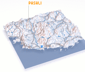 3d view of Paşalı