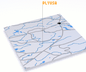 3d view of Plyusa