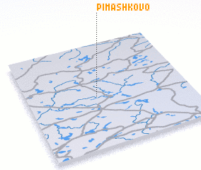 3d view of Pimashkovo