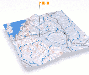 3d view of Muko