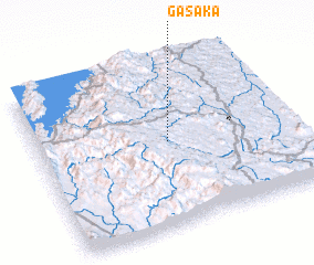3d view of Gasaka